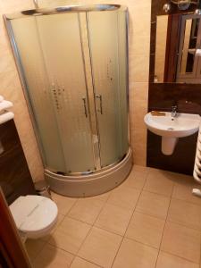 波兹南石楠膳宿公寓的带淋浴、卫生间和盥洗盆的浴室