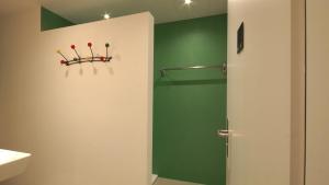 阿彭策尔Alte Metzg - Hostel的一间带淋浴的浴室和绿色的墙壁