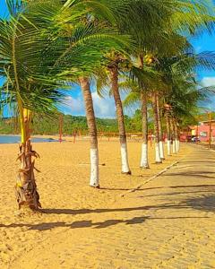 雅帕拉廷加Japaratinga Suites的沙滩上一排棕榈树