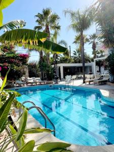 阿默达拉-伊拉克利翁米诺雅公寓酒店的度假村内一座种有棕榈树的大型游泳池