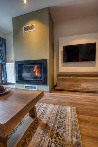 埃拉蒂特里卡隆Giataki的客厅设有壁炉和平面电视。