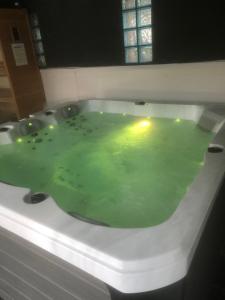 佩皮尼昂Villa del catalunya的浴室设有装满绿水的浴缸