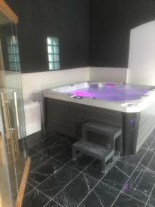 佩皮尼昂Villa del catalunya的浴室配有带两个台阶的紫色浴缸
