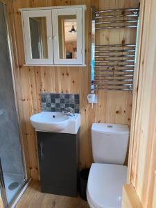 珀斯Remarkable Shepherds Hut in a Beautiful Location的一间带卫生间、水槽和镜子的浴室