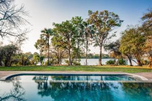 维多利亚瀑布Palm River Hotel的棕榈树湖泊旁的游泳池