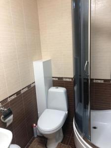 伊兹梅尔Квартира студия的浴室配有卫生间、盥洗盆和淋浴。