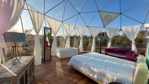 埃斯特雷莫斯Glamping Skies - Adults Only的一间卧室设有一张床和一个大型玻璃天花板