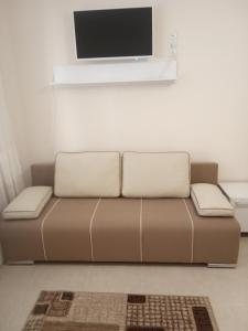 乌曼岛Modern appartment near Sofievka的客厅设有棕色沙发,配有平面电视