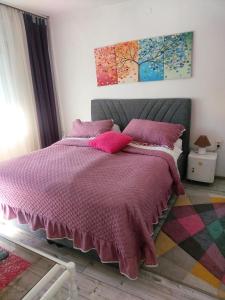 巴尼亚卢卡Apartment Sim的一间卧室配有一张带粉红色棉被的床