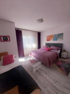 巴尼亚卢卡Apartment Sim的一间卧室设有两张床和窗户。