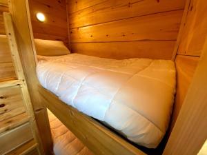 CarrollB1 NEW Awesome Tiny Home with AC Mountain Views Minutes to Skiing Hiking Attractions的小木屋内的一张小床
