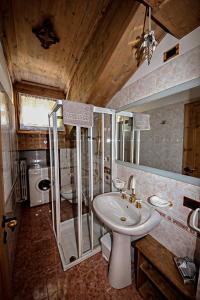 奥伦佐卡多利Appartamento Mainardi的一间带水槽、淋浴和卫生间的浴室