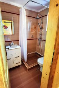 马里瑟尔Cabanele FloriCrin - Cabana Mare的带淋浴、卫生间和盥洗盆的浴室