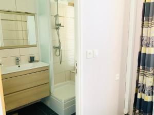 法兰西堡Le Patio Foyalais的带淋浴、盥洗盆和镜子的浴室