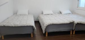 济州市沃拉克旅馆的两张睡床彼此相邻,位于一个房间里