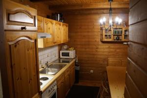 特雷芬盖利岑哈特度假屋的厨房配有木制橱柜、水槽和微波炉