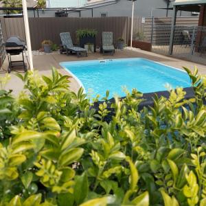 福布斯米勒乡村汽车旅馆的庭院里种有植物的游泳池