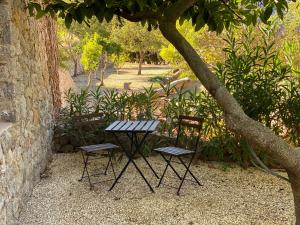 巴尔德莫萨巴尔德莫萨米拉伯酒店的树下野餐桌和两把椅子