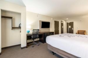 BoardmanSleep Inn的酒店客房配有一张床和一张带电脑的书桌