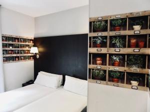 巴塞罗那Hotel Ramblas Internacional的一间设有床铺和盆栽架子的房间