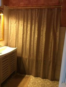 尼斯Great and light private room in the heart of Nice的浴室配有淋浴帘和盥洗盆。