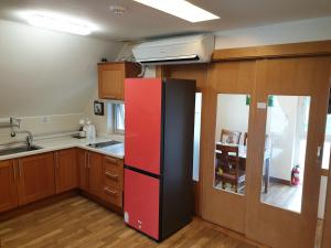 南海郡南海纽豪斯酒店的厨房配有红色和黑色的冰箱