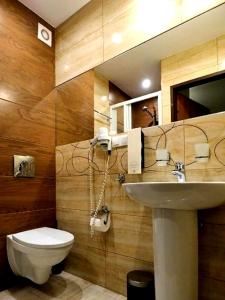 拉辛4元素法兰特奥罗德克会议与培训中心酒店的一间带水槽和卫生间的浴室