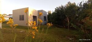 库奇拉阿尔塔Arazá的院子里的白色房子,花黄色