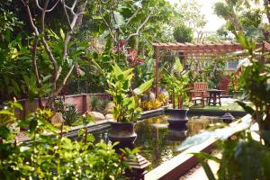 华欣卢恩卡诺克泰屋度假酒店的花园,花园内有种有植物的池塘和凉亭