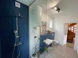塞扎纳Cilka`s house, authentic homestay near Lipica的一间带玻璃淋浴和水槽的浴室