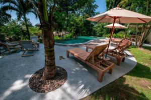 象岛象岛绿洲别墅酒店的游泳池旁的一棵树和两把椅子及一把遮阳伞