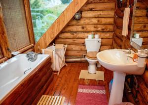 哈内茨堡Stanford Lake lodge的浴室配有卫生间、浴缸和水槽。