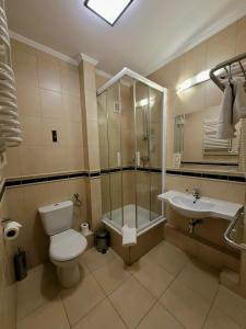 索哈切夫肖邦酒店的浴室配有卫生间、盥洗盆和淋浴。