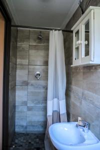索赫燕杜Thavhani Guest House的浴室配有淋浴帘和盥洗盆。