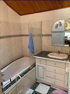 马瑟伊兰Appartement d'exception sur le port pittoresque de Marseillan的带浴缸、水槽和镜子的浴室
