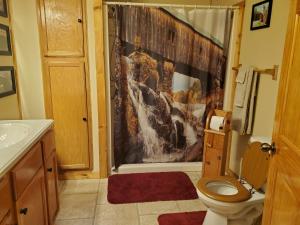MillerstownSnyder's Knob的带淋浴帘和卫生间的浴室