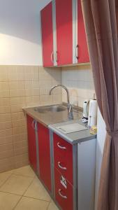 沃迪切Apartment Zorica的一个带水槽和红色橱柜的小厨房