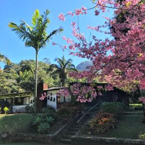 彼得罗波利斯Pinheiros do Rocio的一座有粉红色花卉树的房子