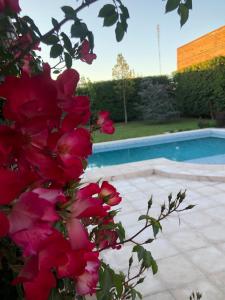 圣拉斐尔Posada “LA MARGARITA”的游泳池旁的红花灌木