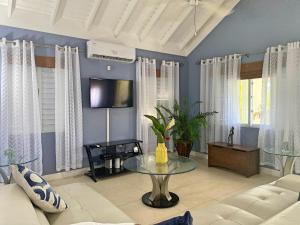 Jamnick Vacation Rentals - Richmond, St Ann, Jamaica的电视和/或娱乐中心