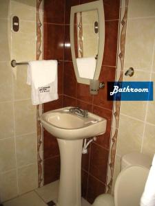 瓦拉斯胡瓦拉茨全球旅馆的一间带水槽、镜子和卫生间的浴室