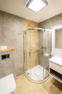 斯维诺乌伊希切Villa Aura的带淋浴和盥洗盆的浴室