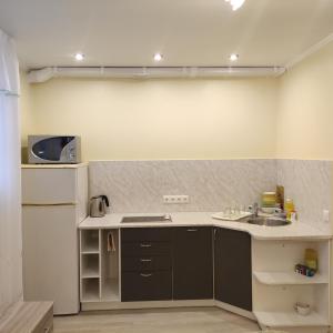 派尔努绿洲公寓的一间带水槽和冰箱的小厨房