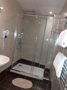 巴黎豪华酒店的浴室里设有玻璃门淋浴