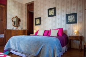 蒙得维的亚Cane B&B的一间卧室配有一张带粉红色和蓝色床单的床