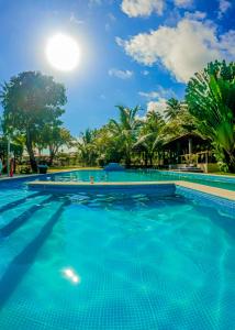 伊塔帕里卡岛维拉克鲁兹Alma Tropical Resort的一座拥有蓝色海水和棕榈树的游泳池
