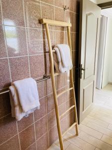 圣马丁岛Shamrock duplex的带毛巾的浴室内的毛巾架