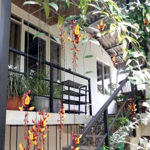 埃拉达努迪民宿的一座房子,阳台上种着鲜花