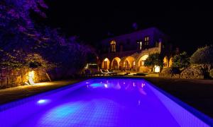 凯里尼亚Peace House Kyrenia的一座位于房子前方的紫色游泳池