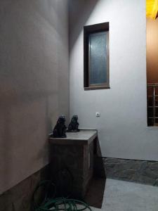 Dolna MitropoliyaКвартири ЦЕНТРАЛ的一间位于房间柜台上的浴室,两座雕像